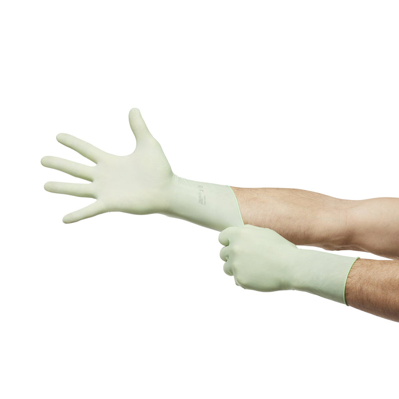 Surgical Glove McKesson Perry® Performance Plus Size 6.5 Sterile Polyisoprene Standard Cuff Length Smooth Green Chemo Tested