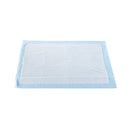 Disposable Underpad McKesson Classic 23 X 36 Inch Fluff Mat Light Absorbency