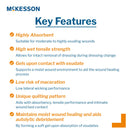 Gelling Fiber Wound Dressing McKesson 3/4 X 18 Inch Ribbon Sterile