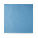 McKesson Sterilization Wrap Blue 20 X 20 Inch Single Layer Cellulose Steam / EO Gas