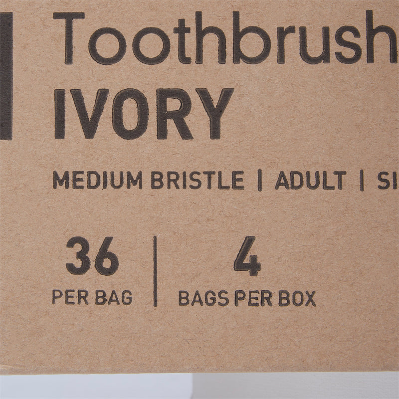 Toothbrush McKesson Ivory Adult Medium