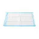 Procedure Underpad McKesson 17 W X 24 L Inch Blue NonSterile