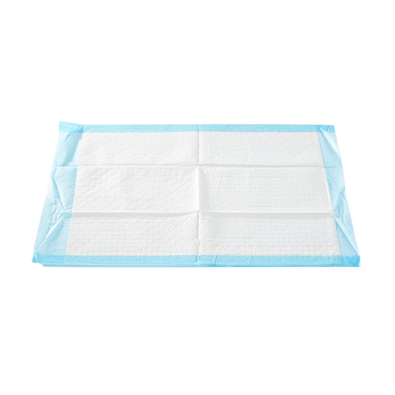 Procedure Underpad McKesson 17 W X 24 L Inch Blue NonSterile