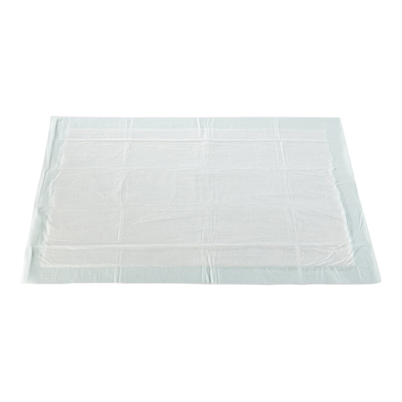 Disposable Underpad McKesson 23 X 36 Inch Fluff / Polymer Moderate Absorbency